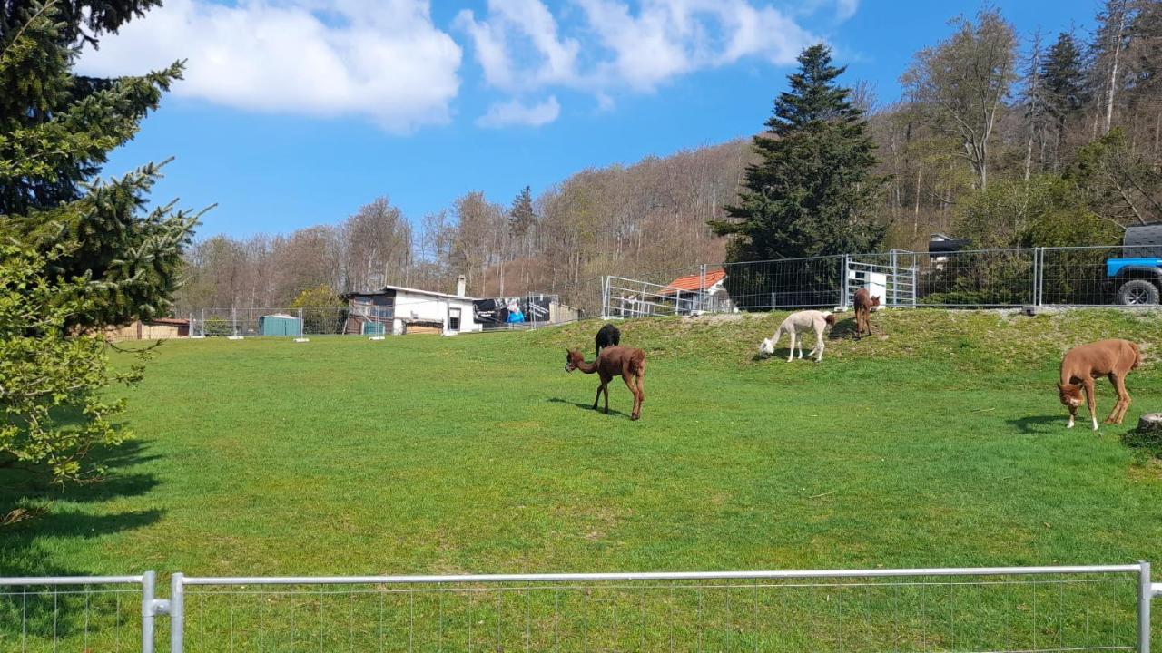 Appartamento Bergpanorama Ruhla Esterno foto